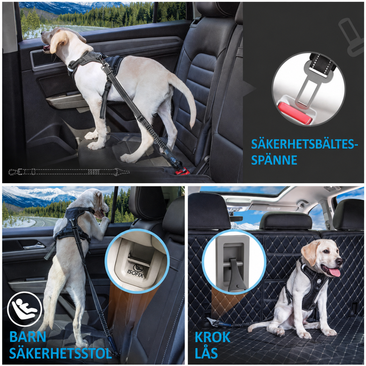 Stötdämpande säkerhetsbälte för hund i bil