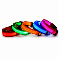 LED Säkerhetshalsband för hund