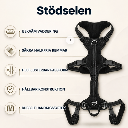 Stödselen för din äldre hund