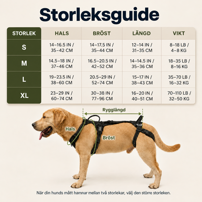 Stödselen för din äldre hund