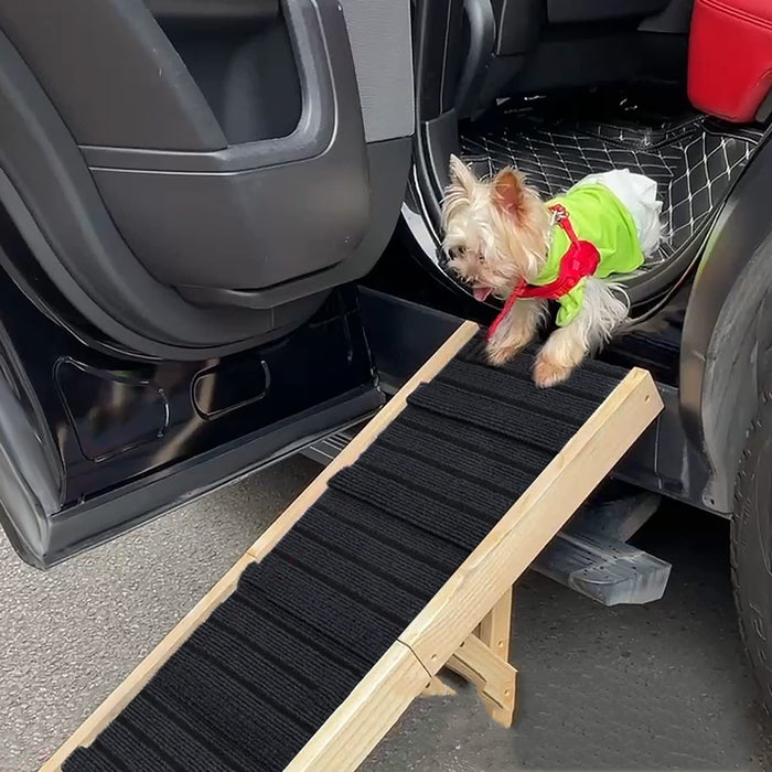 Hundrampen för din äldre hund